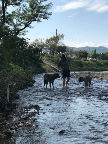 曼珠沙華まつりと川遊び♪_f0242002_11320809.jpg