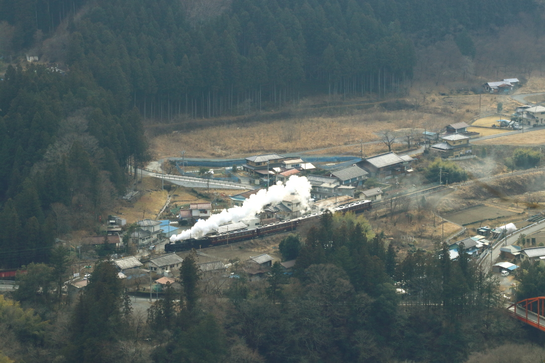 薄曇りの逆光 - 2019年・秩父鉄道 -_b0190710_21520246.jpg