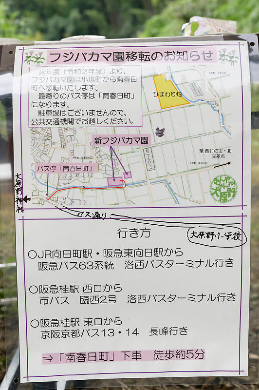 なんやかんや大原野 藤袴鑑賞会_f0032011_19350042.jpg