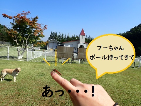やっぱりお友達と走りたい。_c0182012_13415115.jpg