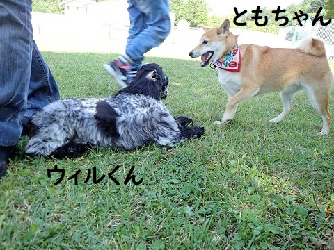やっぱりお友達と走りたい。_c0182012_13415875.jpg