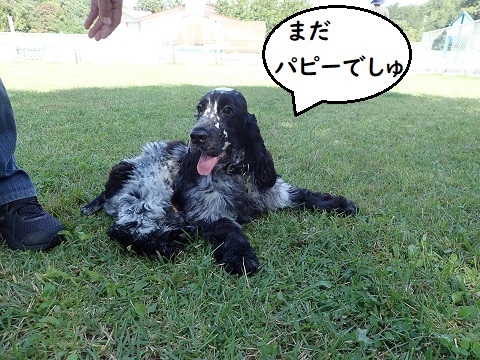 やっぱりお友達と走りたい。_c0182012_13421275.jpg