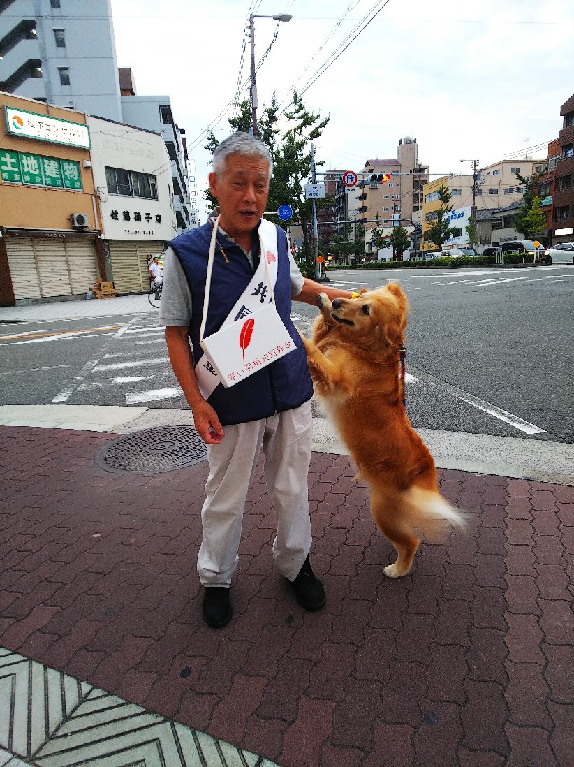 赤い羽根募金_a0098418_21431170.jpg