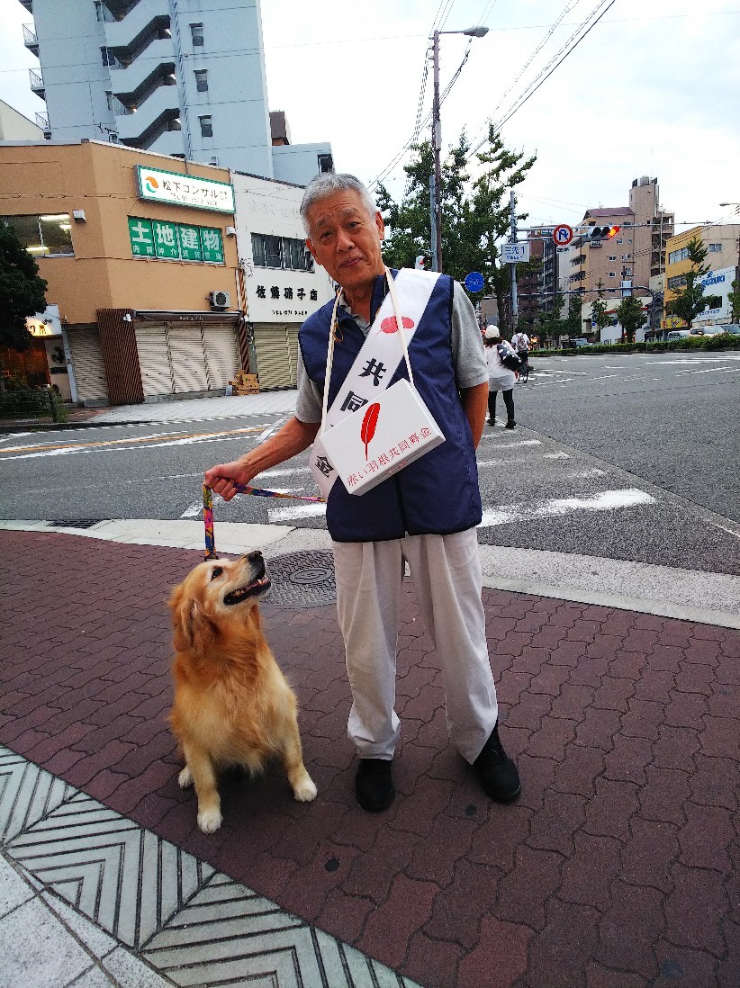 赤い羽根募金_a0098418_21431192.jpg