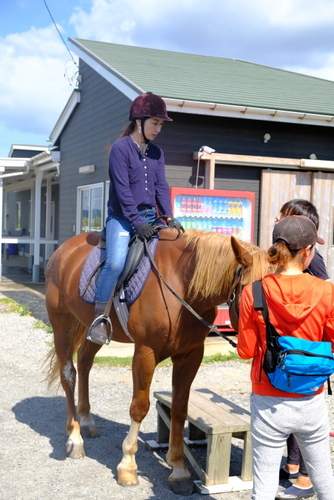 「千葉・館山 初乗馬!!ホーストレッキングパーク館山」_a0000029_18171476.jpg