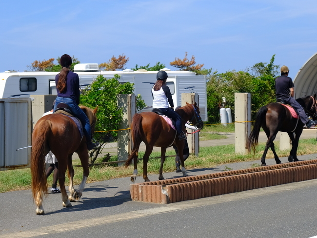 「千葉・館山 初乗馬!!ホーストレッキングパーク館山」_a0000029_18184426.jpg