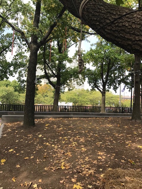 小さな秋_d0269832_20301475.jpeg