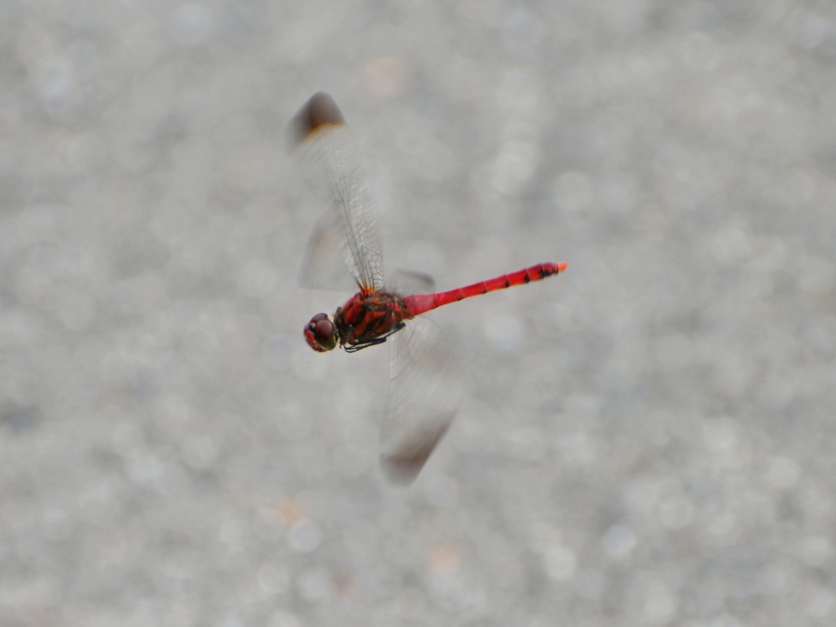 f0340732_23351448.jpg