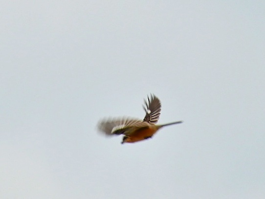 f0340732_23414087.jpg