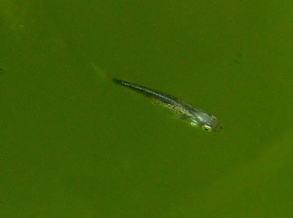 e0097534_18540382.jpg