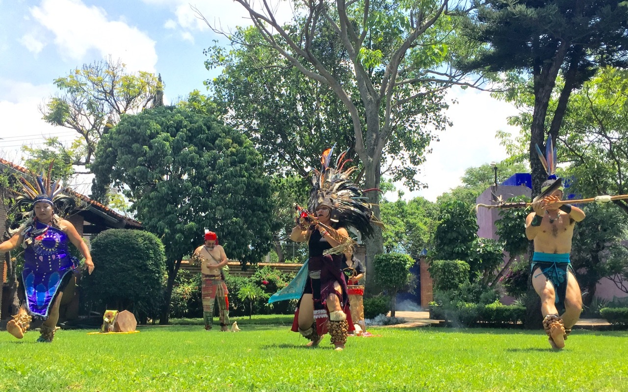 地元の踊り。：里親さん募集集。フレンチブルドッグ。_f0372146_20482433.jpg