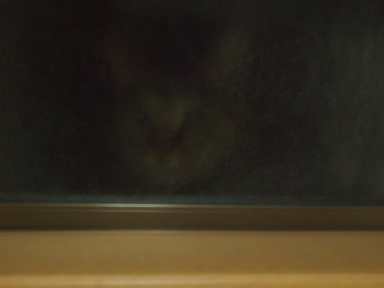猫の森事件帖・・・その後_b0396150_09162562.jpg