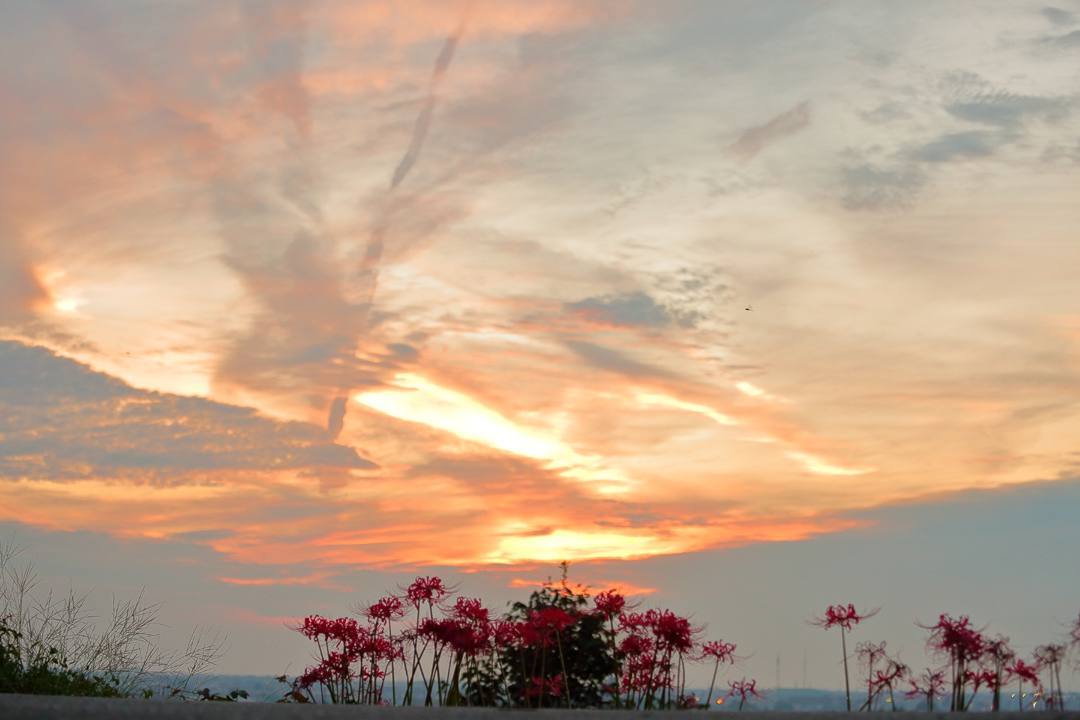 e0403850_07301441.jpg
