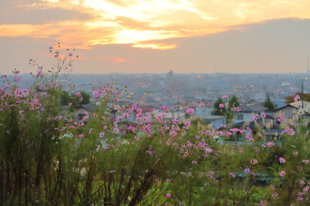 e0403850_07302996.jpg