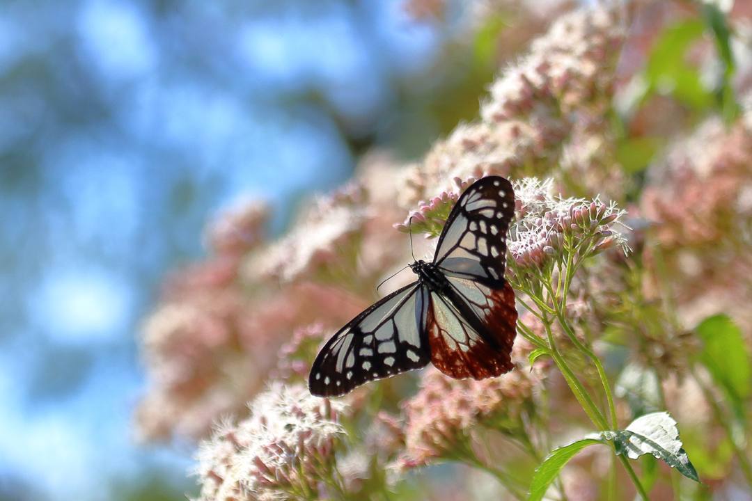 e0403850_14110141.jpg