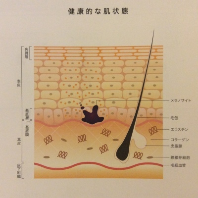 本当の保湿とは・・・_e0108851_11490031.jpeg