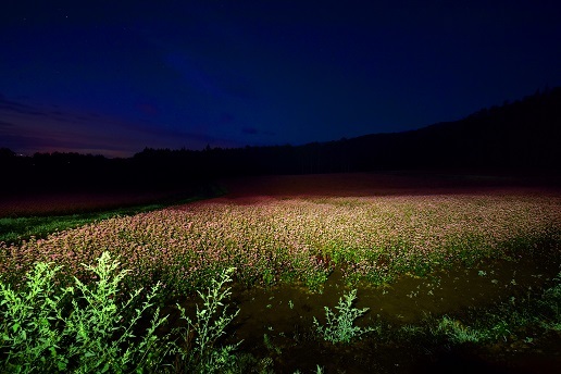 赤そばの里の夜明けと彼岸花_c0303868_15263578.jpg