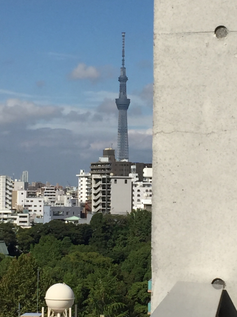 c0180581_20233545.jpg