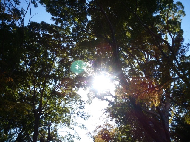 e0371086_14084577.jpg