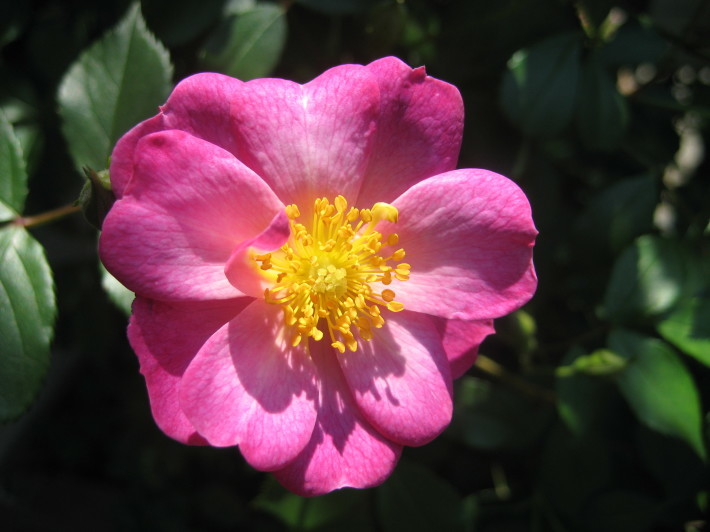 f0201297_23231087.jpg