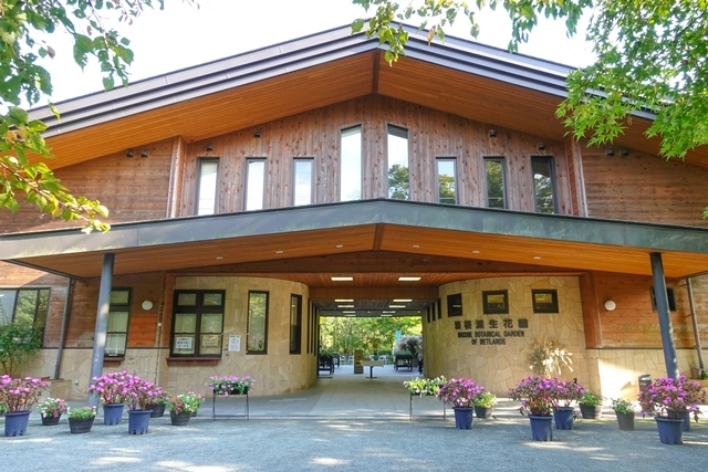 秋の箱根湿生花園_b0145398_23045097.jpg