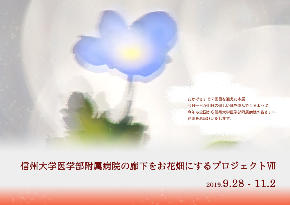 a0340931_17102370.jpg
