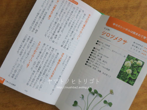 借りた記録【6月】_e0394031_06070662.jpg