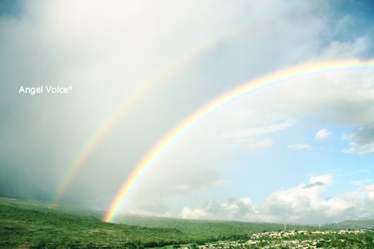 FF in Hawaii＠ライブ_d0147742_20385795.jpg