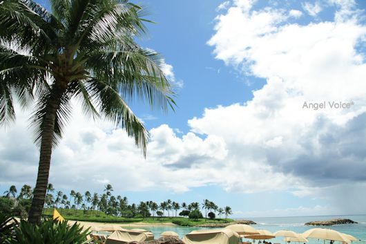 FF in Hawaii＠ホテル散策_d0147742_20455059.jpg