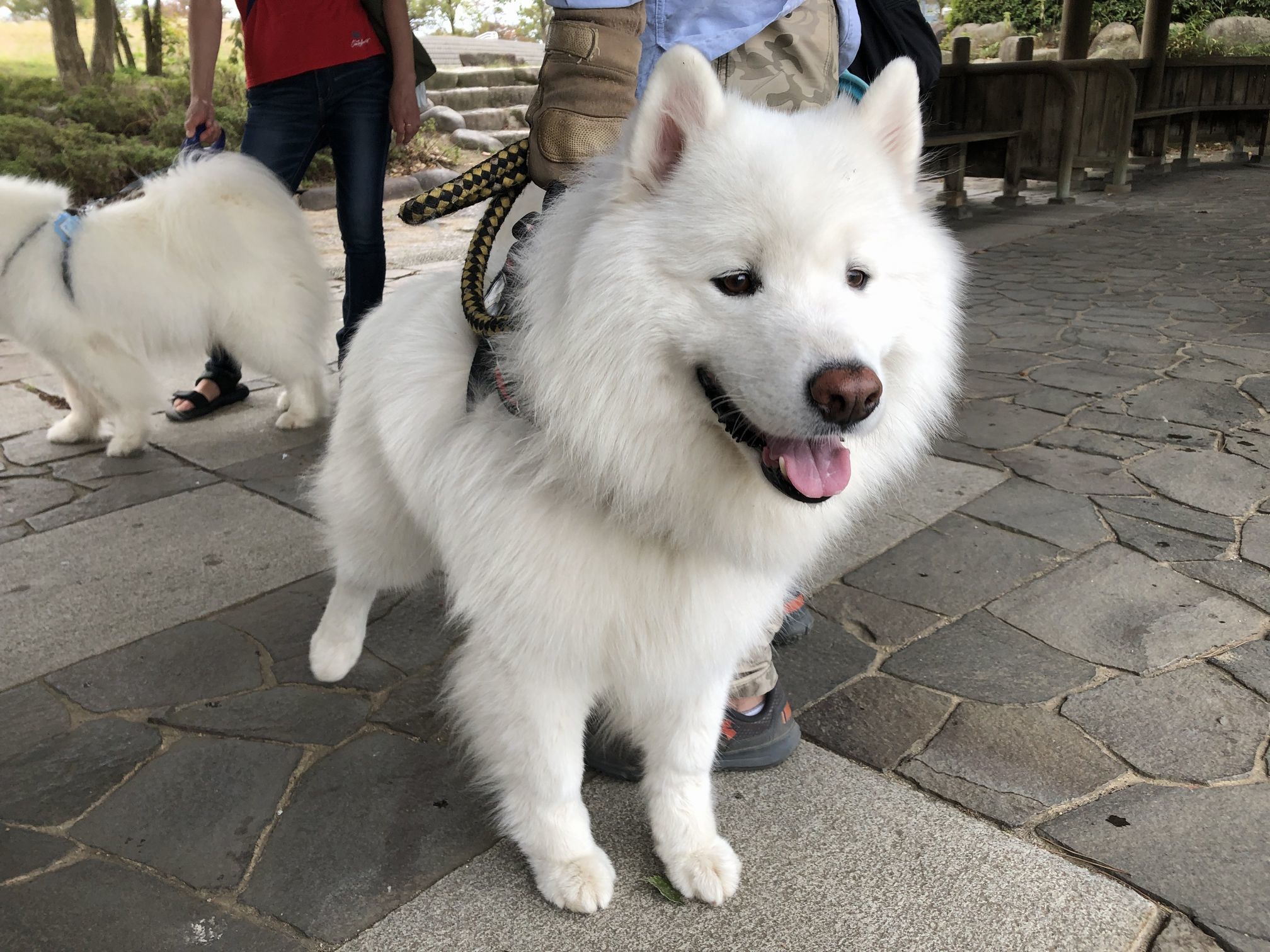2019年9月 みちのく旅行 その1_f0128542_14532991.jpg
