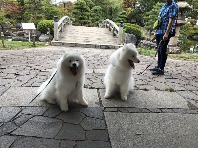 2019年9月 みちのく旅行 その1_f0128542_14552718.jpg