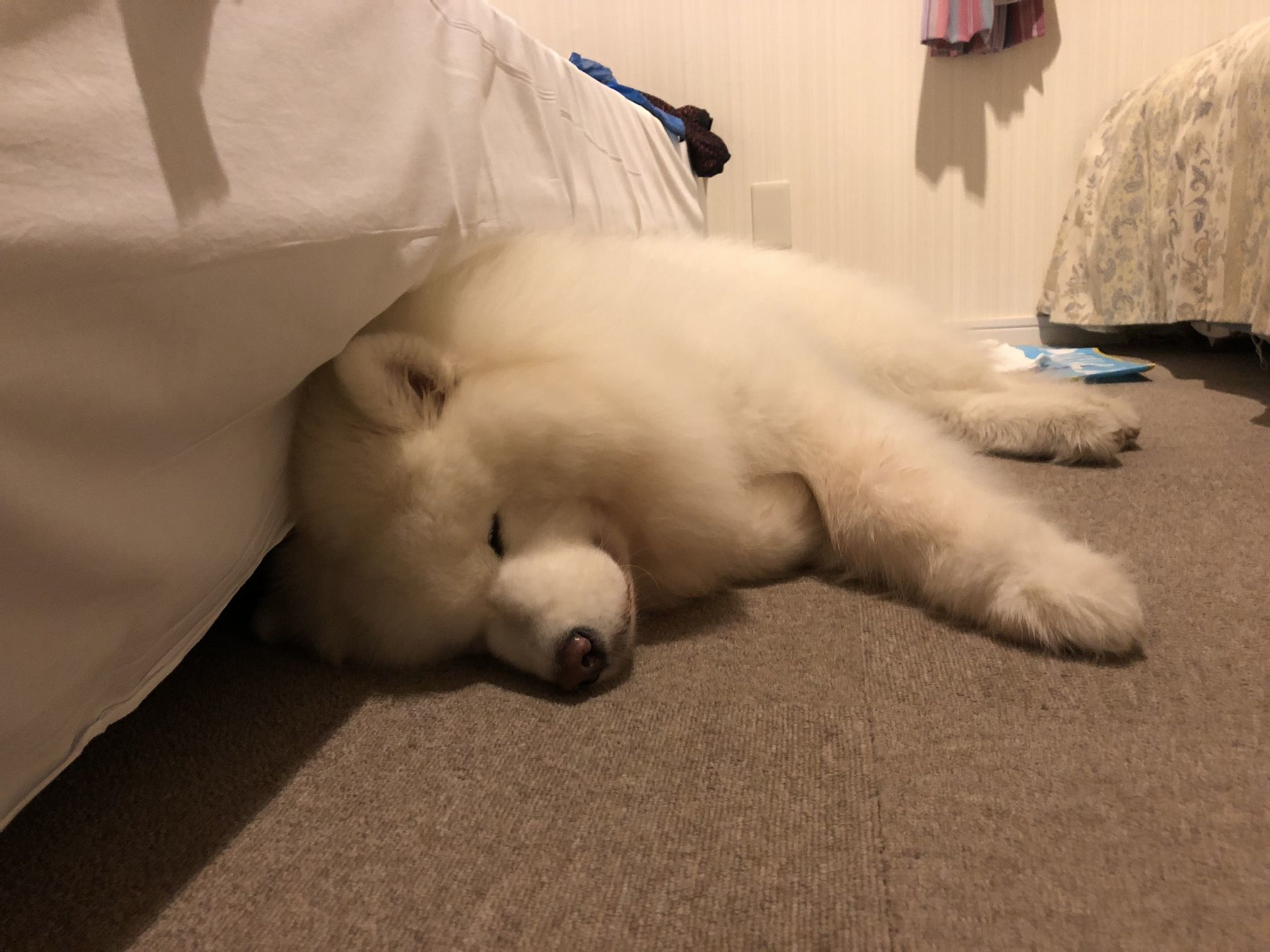 2019年9月 みちのく旅行 その1_f0128542_15035254.jpg