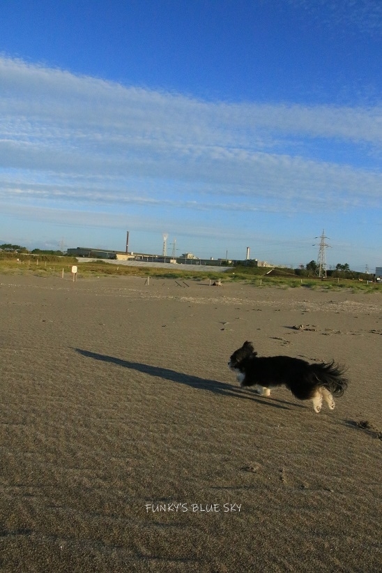c0145250_10053213.jpg