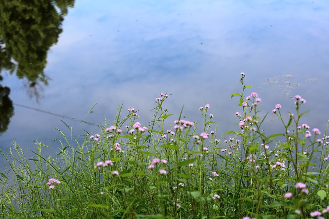 e0403850_15470148.jpg