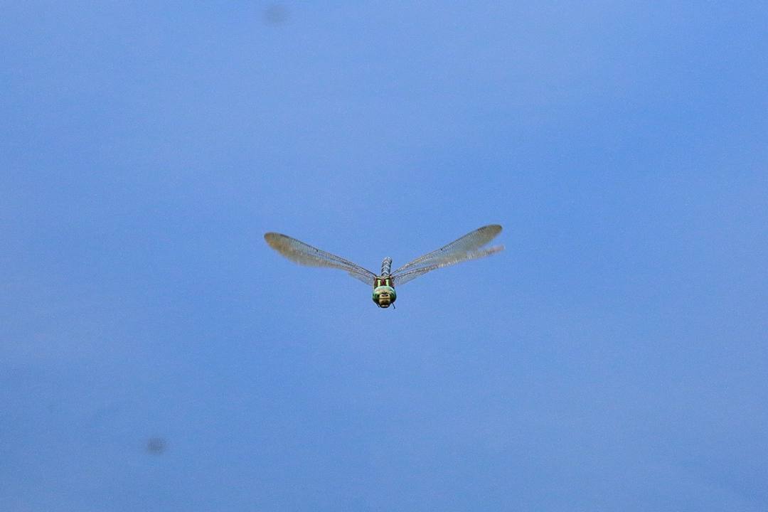 e0403850_15473009.jpg