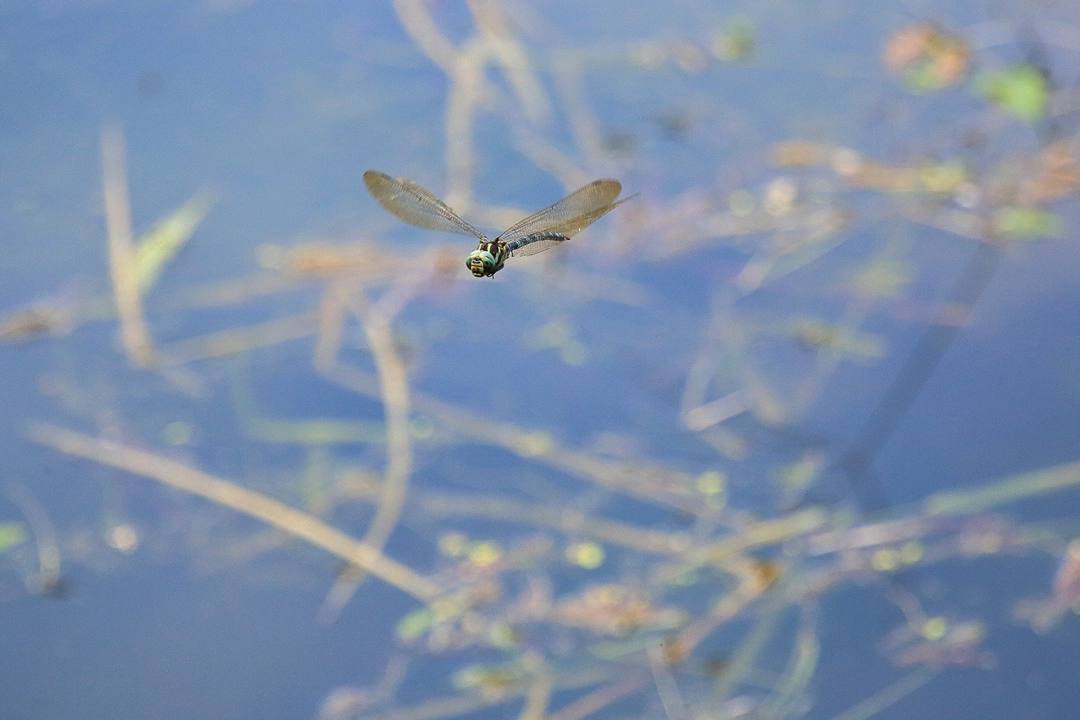 e0403850_15481563.jpg