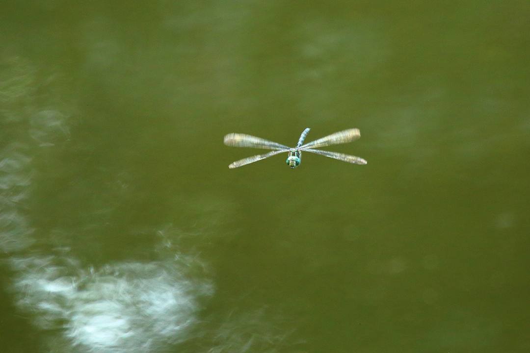 e0403850_15491046.jpg