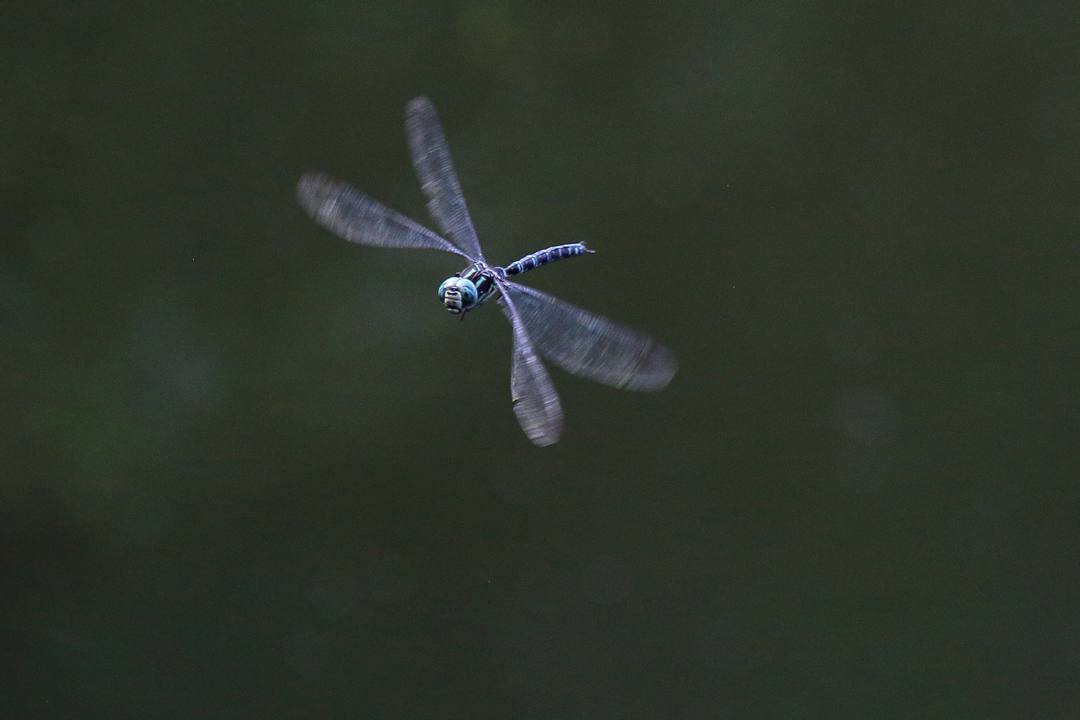 e0403850_15491070.jpg