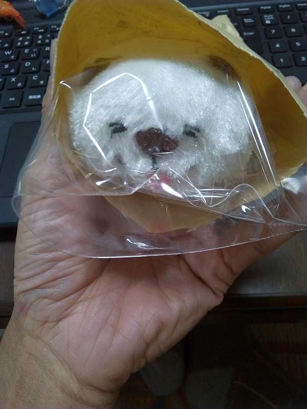 わさおつみぐるみ 来た Th69の亜米利株