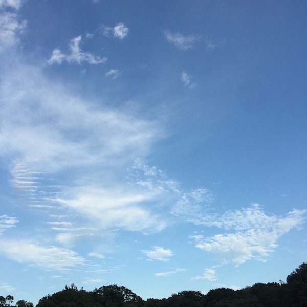 生きてることは、ギフトです_c0113755_02264840.jpg