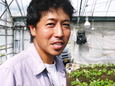 熊本限定栽培品種のイチゴ『熊紅(ゆうべに)』定植後の様子 令和元年度は12月上旬から出荷予定!_a0254656_18095585.jpg