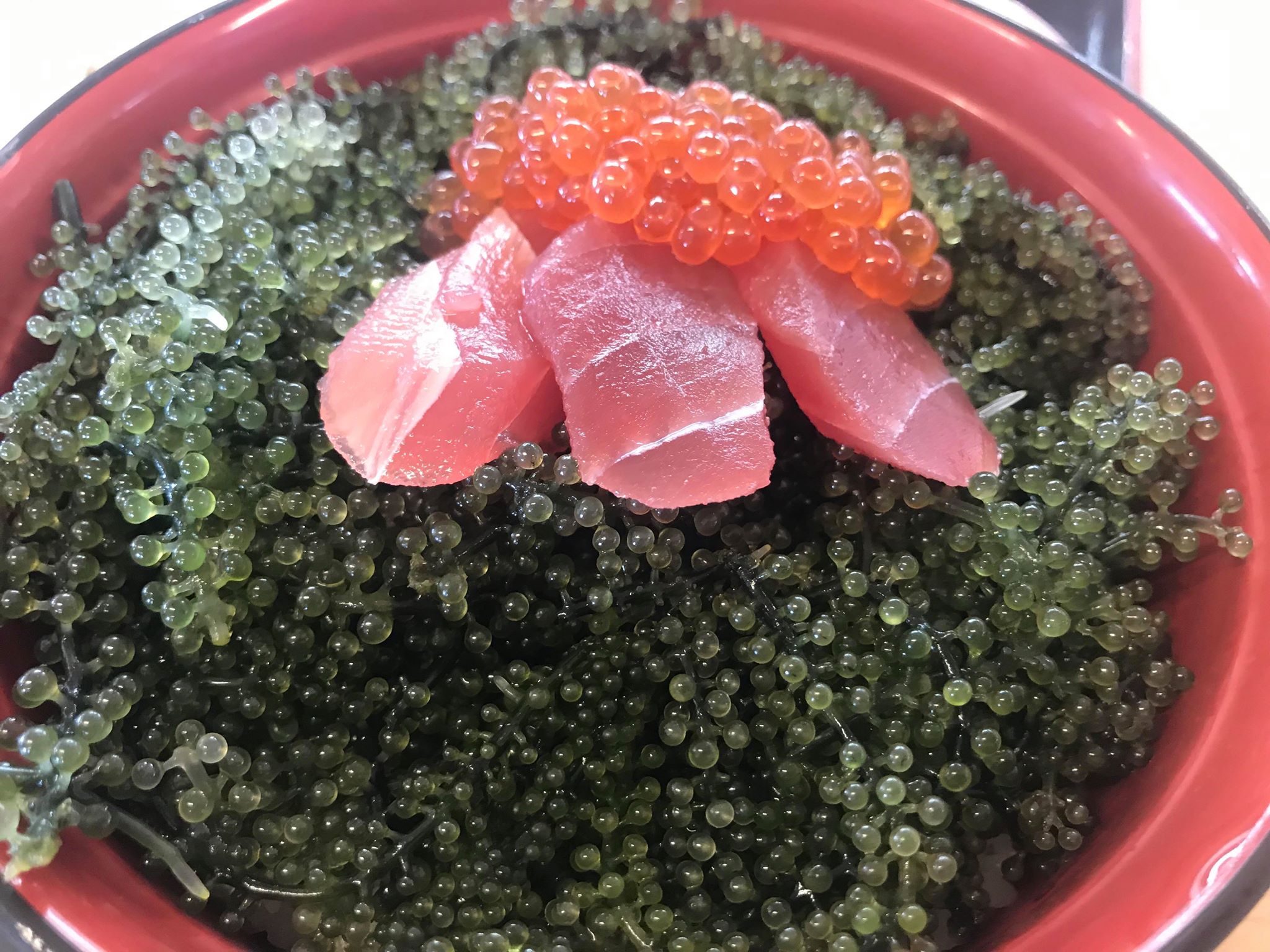 虹の旅だったよね　2019.9.28_b0002156_2032228.jpg