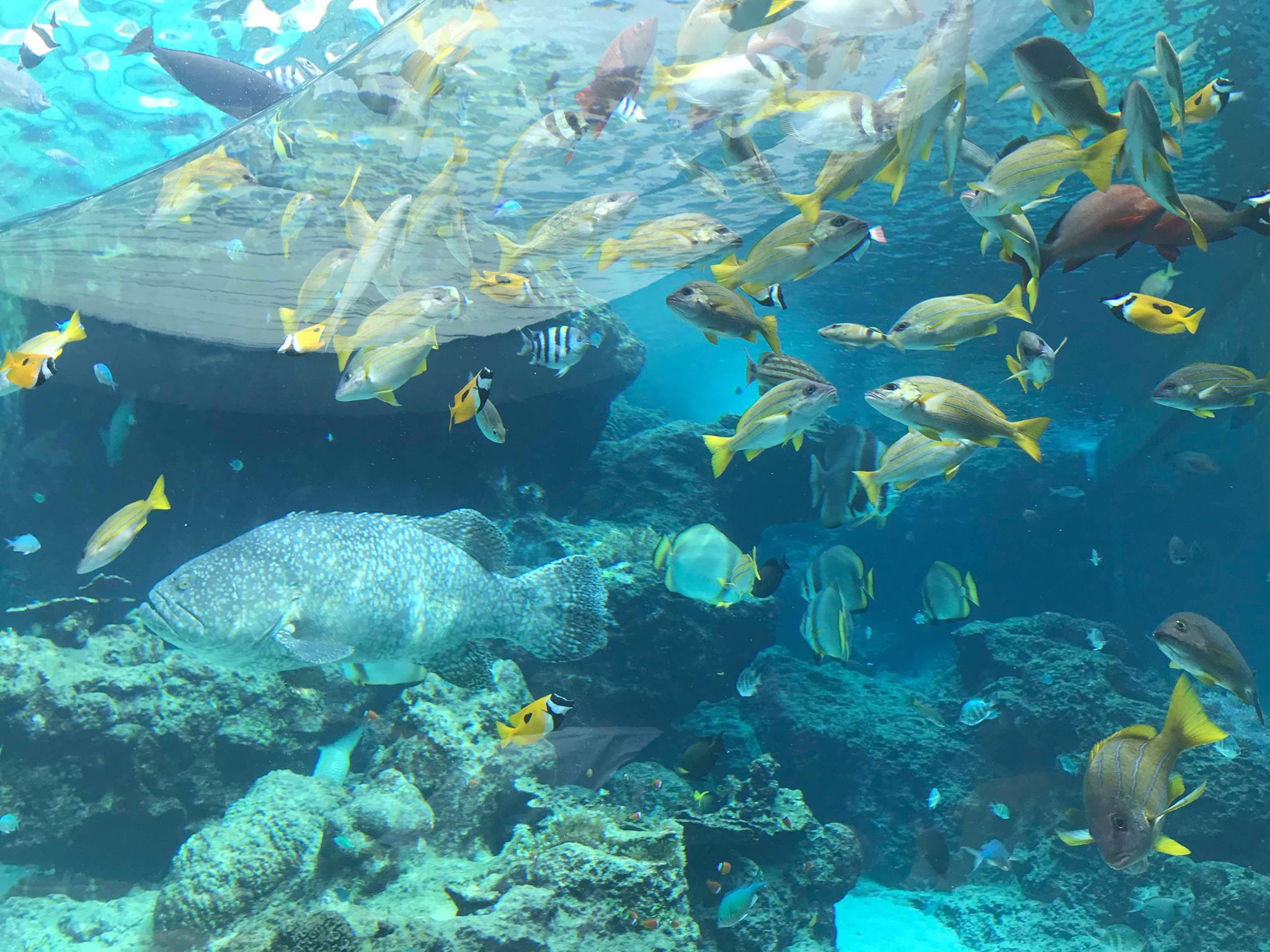 家族で沖縄なのだ～　2019.9.26_b0002156_2064063.jpg