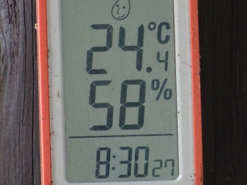 c0108460_14334038.jpg