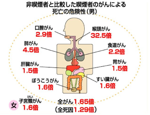 ハニー薬局 News 令和元年10月号_c0317767_10461720.jpg