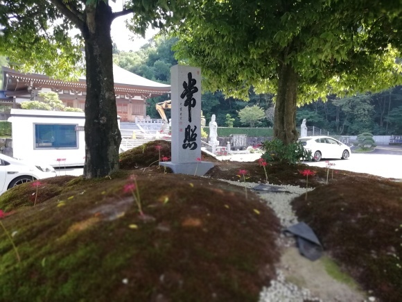 金沢にお寿司を食べに行くグルメ旅_f0340068_16451104.jpg
