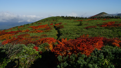 裏岩手縦走　 畚岳⇒松川温泉_a0157297_22005607.jpg