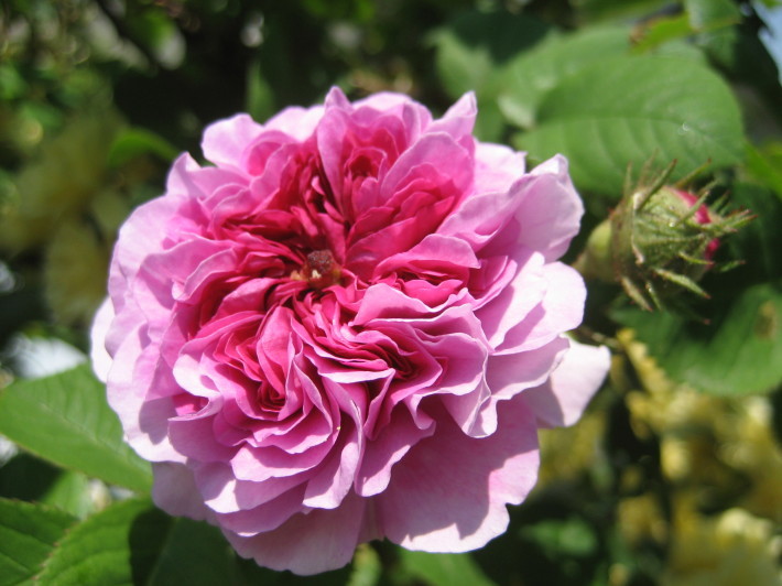 f0201297_06333455.jpg