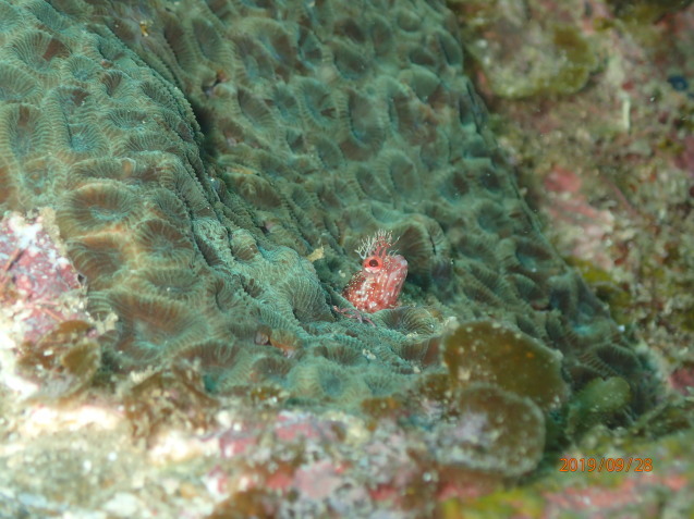 e0115199_16441512.jpg