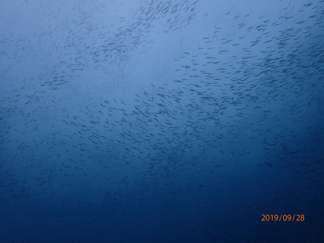 e0115199_16445441.jpg